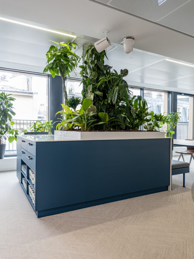 Ilot central planté dans l'agora des bureaux Brevo à Paris
